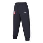 Nike UCL Atl&eacute;tico de Madrid pants